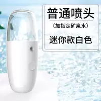新款美容蒸脸仪usb充电便捷式纳米喷雾脸部加湿器 冷喷手持补水仪|丸子白