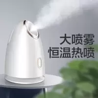 补水喷雾器补水神器纳米补水仪器美容仪器加湿器便携式补水仪器|尊享蒸脸器(热喷+可加纯牛奶精华液)