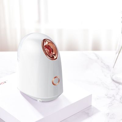 蒸脸器补水仪喷雾器纳米香薰蒸汽护肤美容仪器脸部热喷面部加湿器|热喷蒸脸器[质保一年-只换不修]白色