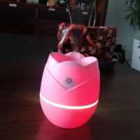 usb迷你家用加湿器卧室空调房香薰灯大喷雾桌面空气学生充电小|旗舰版[静音定时+七彩氛围灯]粉色 配[数据线+2根棉棒]