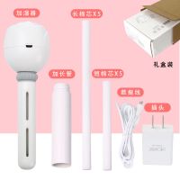 小型空气喷雾静音usb加湿器家用卧室迷你学生办公室卧室婴儿桌面|礼盒装+长短滤芯各五条+插头
