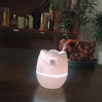 usb迷你家用加湿器卧室空调房香薰灯大喷雾桌面空|旗舰版[静音定时+七彩氛围灯]白色 配[数据线+3根棉棒]