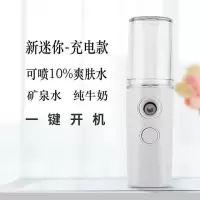 新款纳米喷雾补水仪迷你补水仪美容仪蒸脸仪器手持便携蒸脸加湿器|白色