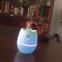 usb迷你家用加湿器卧室空调房香薰灯大喷雾桌面空|旗舰版[静音定时+七彩氛围灯]清晰绿 配[数据线+2根棉棒]