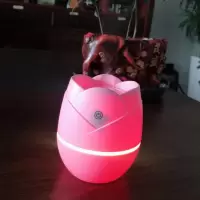 迷你喷脸学生usb加湿器礼物随身便捷式宿舍小型|旗舰版[静音定时+七彩氛围灯]迷人粉 配[数据线+1根滤芯]1瓶玫瑰精油