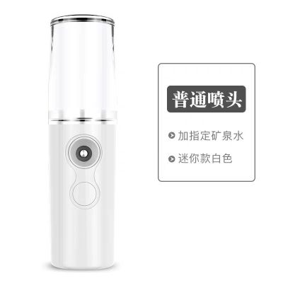 纳米喷雾补水仪迷你便携充电式冷喷机加湿器美容仪保湿蒸脸器|经典款30ml迷你白