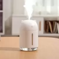 加湿器家用卧室迷你学生大雾量车载小型办公室静音便携空气净化器|冰川白(320毫升)