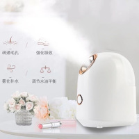 蒸脸器纳米热喷雾器保湿神器补水仪迷你可爱加湿器脸部学生美容仪|1号热喷 蒸脸器+银滚轮+黄金棒