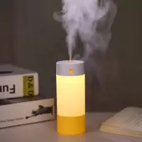 抖音同款迷你usb加湿器家用卧室学生三合一喷雾风扇卡通可爱便携|一号黄色[久按夜灯]