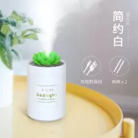 加湿器家用静音卧室孕妇婴儿迷你香薰补水神器车载办公室学生宿舍|多肉款-简约白