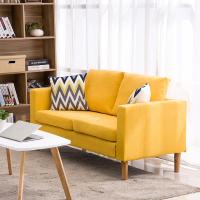 布艺沙发小户型双人三人北欧现代简约客厅出租房服装店简易网红款