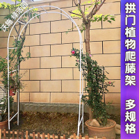简易铁艺拱花架爬藤架攀爬架葡萄拱形蔷薇月季庭院园艺支架