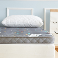 四季可用加厚可折叠榻榻米透气床垫1.5m双人1.5m床褥子1.2m床垫子