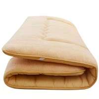 床垫子双人单人加厚学生宿舍榻榻米羊羔绒保暖防滑褥子1.5米1.8米