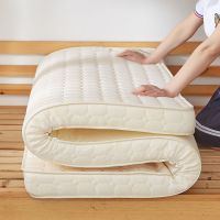 床垫子双人加厚定制榻榻米学生0.9米单人宿舍1.5米折叠地铺垫