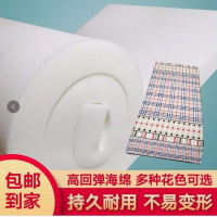 高密度高回弹海绵床垫 海绵垫床垫 宿馆垫子 飘窗垫 榻榻米定制