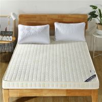 床垫加厚床垫子双人榻榻米床垫1.5米1.8米宿舍床垫单人垫被褥子 针织立体白色厚10cm 100*200cm