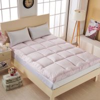 五星级酒店超软1.2床床垫1.8x2.0米加厚保暖冬1.5m1.9床褥子垫被 粉色10公分加厚超软 1.2x2.m八斤重