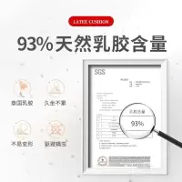 网红乳胶垫四季海绵垫 软垫子加厚学生宿舍久坐家用垫 定制