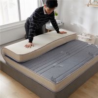 床垫加厚1.5米1.8米榻榻米床垫单人双人床垫子可订做定制床垫