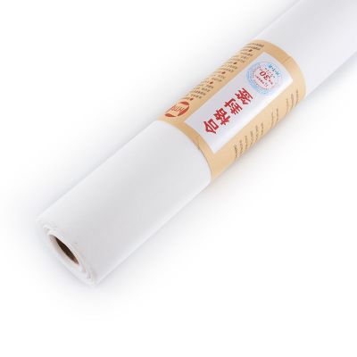 纱网pp纳米自装隐形纱网加密加厚塑钢铝合金阳台纱窗网防蚊虫纱网 白色 3米x1.2米