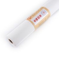 纱网pp纳米自装隐形纱网加密加厚塑钢铝合金阳台纱窗网防蚊虫纱网 白色 3米x1米