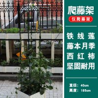 园艺拱爬藤架 拱形架瓜藤月葡萄支架 种植箱架 庭院阳台花架 圆形爬藤架 特大