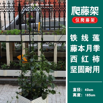 园艺拱爬藤架 拱形架瓜藤月葡萄支架 种植箱架 庭院阳台花架 圆形爬藤架 特大