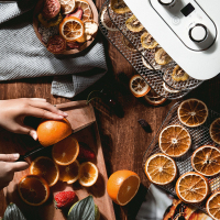 英国摩飞干果机小型水果蔬烘干机家用宠物零食品肉干风干机