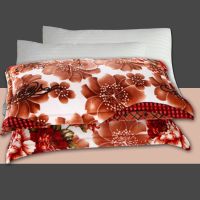 48x74枕芯送枕套单人学生大枕头套装枕头宿舍