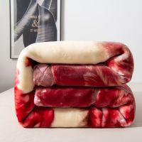 双人单人双层加厚珊瑚绒毯子盖毯床单婚庆毛毯冬季拉舍尔毛毯绒毯