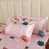 夏季冰丝席枕套一对装空调枕套单人枕套可机洗信封式枕巾学生枕套