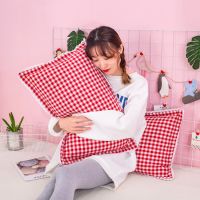 单个枕套全棉一对成可水洗枕套人大号花边学生宿舍