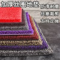 进门地垫入户门大门门口丝圈蹭脚垫子踩地毯家用门厅入门入户门垫