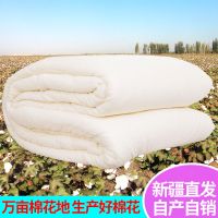 棉絮床垫被棉花被芯被子冬全褥子单人学生棉胎棉春秋被新疆棉被纯