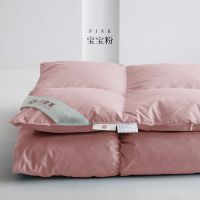 羽绒被95白鹅绒片被芯冬季加厚保暖单人双人春秋被酒店被子