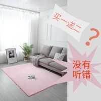 地毯卧室少女泡沫地垫毛毯满铺床边毯垫子爬行垫客厅茶几野餐垫