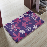 地垫门垫脚垫卧室地毯床边门厅玄关地垫客厅地毯珊瑚绒地垫地毯