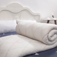 学生被子学生宿舍棉胎垫被芯夏凉被棉絮棉被床垫褥子被被褥化纤被