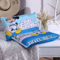 儿童宝宝0枕头四季通用纯棉卡通可爱枕套3-9岁定型枕芯护头枕透气