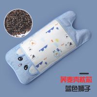 儿童夏季荞麦枕0-1-2-3岁6婴儿夏天透气吸汗冰丝凉枕宝宝冰凉枕头|蓝色狮子（荞麦枕芯）