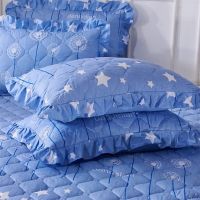 加厚夹棉枕套一对2只花边枕头皮成人单枕芯套带拉链枕套宿舍枕套