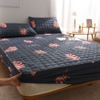 针织棉床笠单件 加厚夹棉席梦思保护套床垫套防滑固定1.8m米床罩