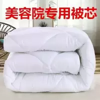 被芯特价被芯被子加厚保暖芯冬被春秋美容院按摩床被美容足浴