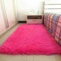 加厚卧室地毯客厅茶几地毯床边地毯榻榻米飘窗满铺地毯地垫可定制