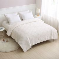 床垫双人垫被床褥子棉被芯加厚春秋冬被宿舍棉胎学生被褥棉絮棉被