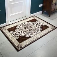 欧式入门口地垫防滑吸水吸尘垫脚踏垫客厅门厅卧室机织多尼尔地毯