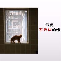 定做纱窗防蚊沙窗魔术贴纱窗打孔拉链开口纱窗纱网纱门免家用新型|不开拉链尺寸70*150