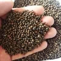 黄荆子 5斤枕芯枕头填充物布惊籽布荆仁黄金子普姜籽荆棵种婴儿枕|特级5斤