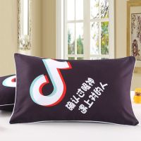 学生宿舍酒店用枕头芯送枕芯加枕套枕头一对装家用枕套护颈枕|网红【枕芯+枕套】二只